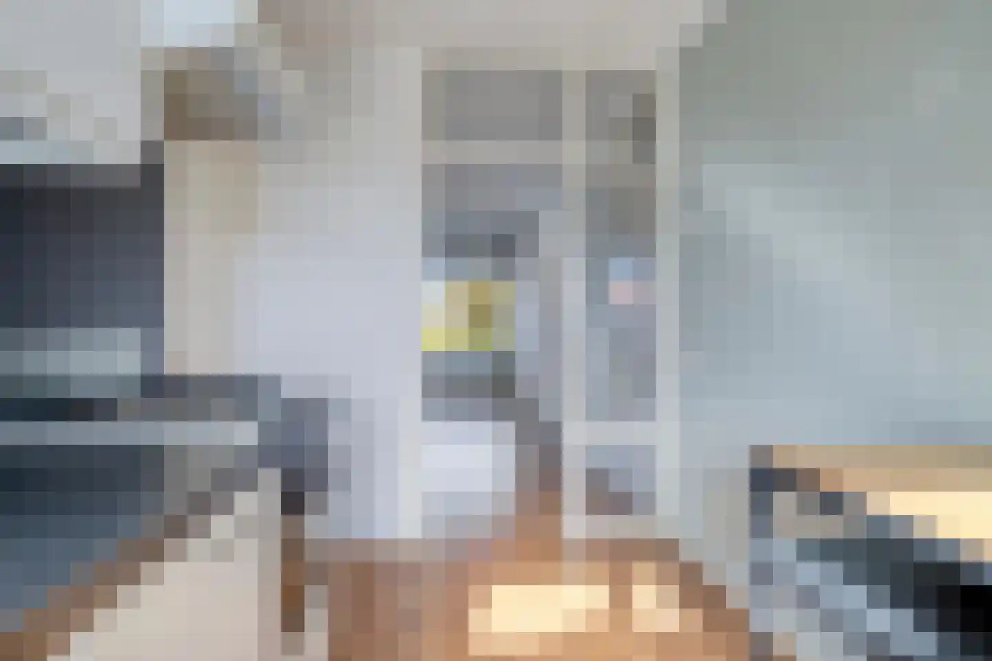 Paganinistraat 40 Almelo thumbnail 21