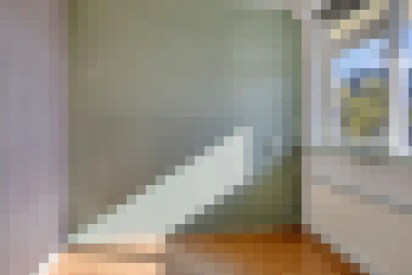 Paganinistraat 40 Almelo thumbnail 31