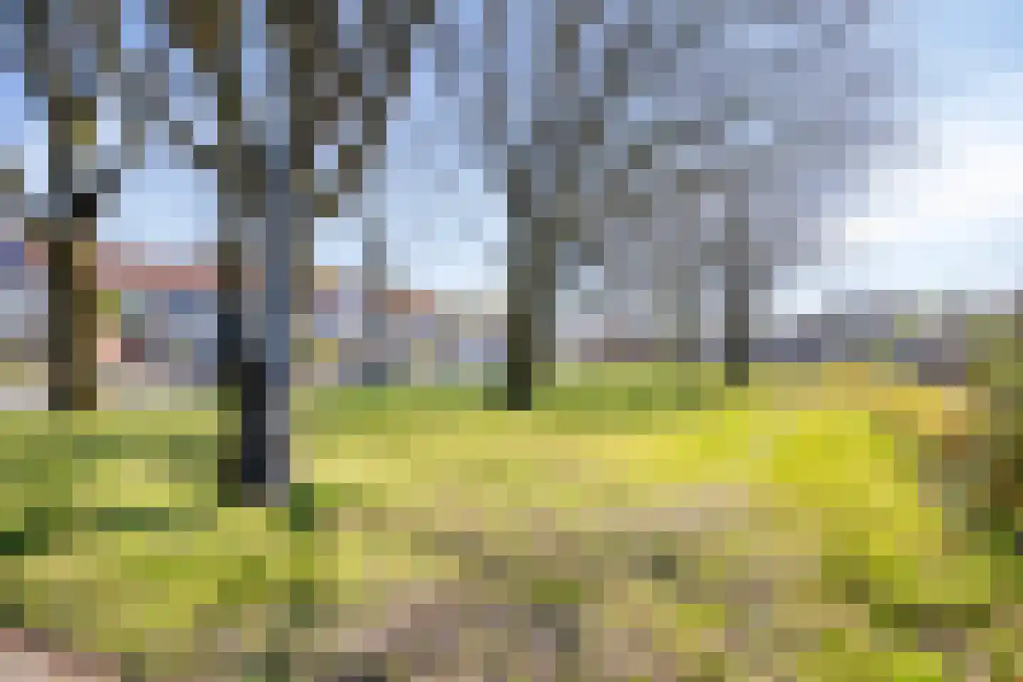 Paganinistraat 40 Almelo thumbnail 35