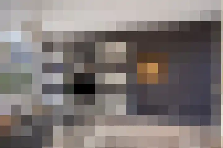 Paganinistraat 45 Capelle aan den IJssel thumbnail 12