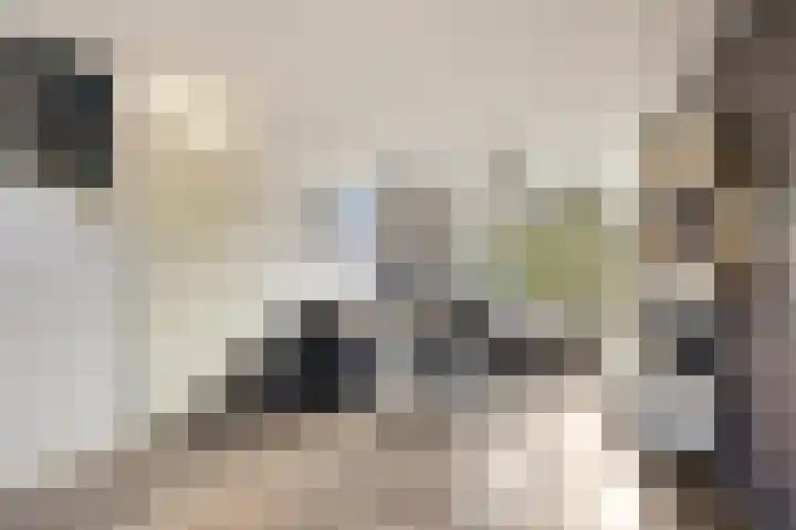 Paganinistraat 45 Capelle aan den IJssel thumbnail 13