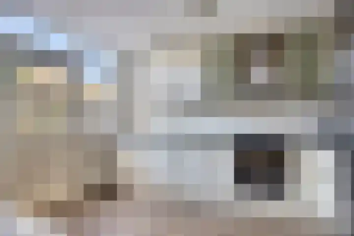 Paganinistraat 45 Capelle aan den IJssel thumbnail 15
