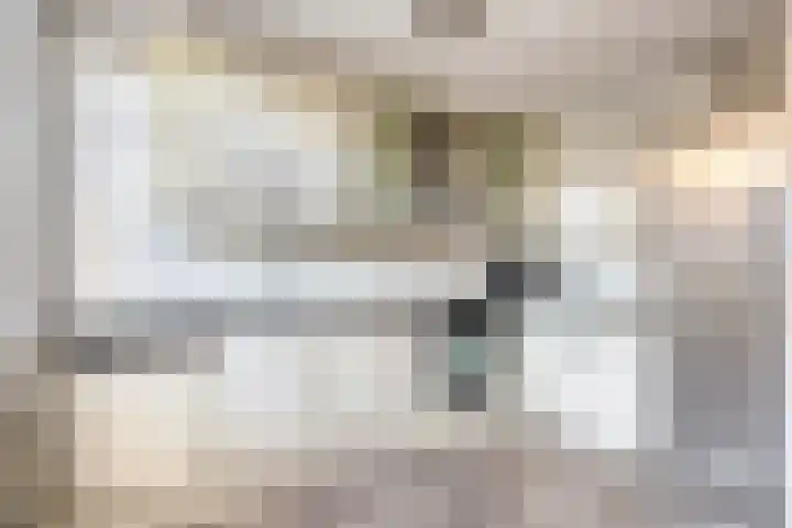 Paganinistraat 45 Capelle aan den IJssel thumbnail 16
