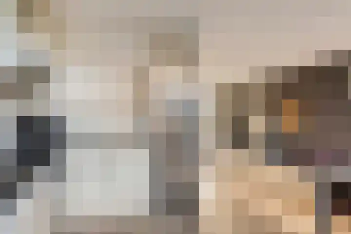 Paganinistraat 45 Capelle aan den IJssel thumbnail 17