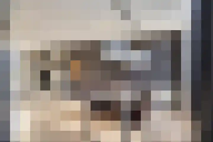 Paganinistraat 45 Capelle aan den IJssel thumbnail 18
