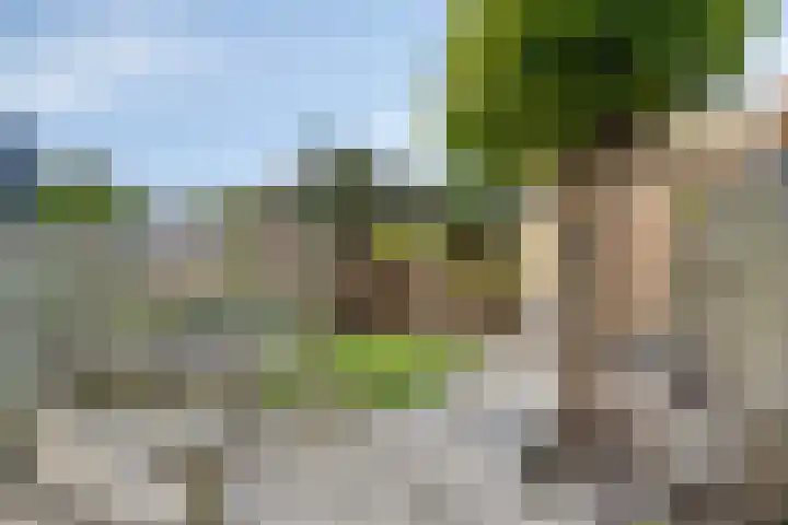 Paganinistraat 45 Capelle aan den IJssel thumbnail 20