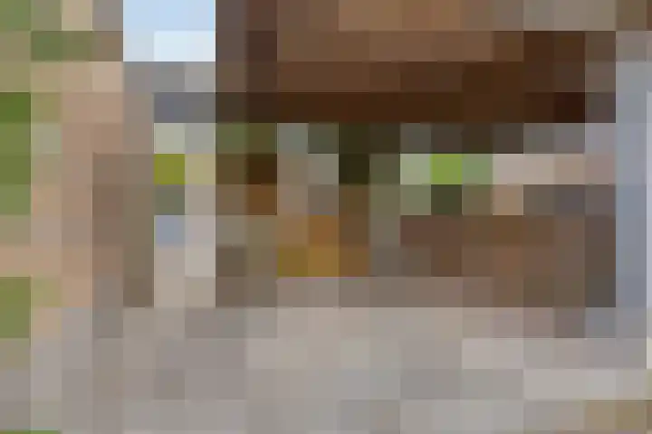 Paganinistraat 45 Capelle aan den IJssel thumbnail 22