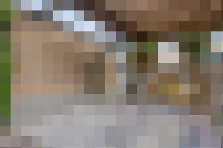 Paganinistraat 45 Capelle aan den IJssel thumbnail 23