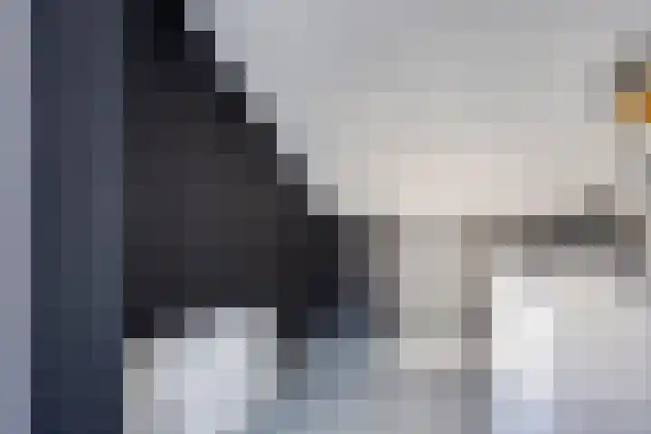 Paganinistraat 45 Capelle aan den IJssel thumbnail 35