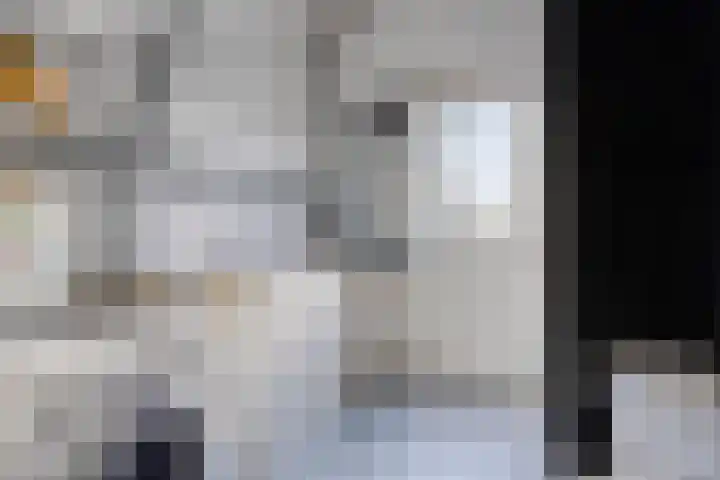 Paganinistraat 45 Capelle aan den IJssel thumbnail 36