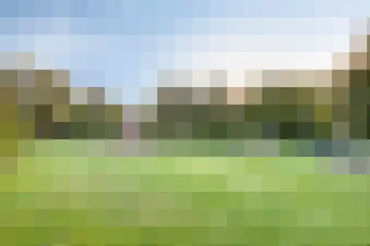 Paganinistraat 45 Capelle aan den IJssel thumbnail 40