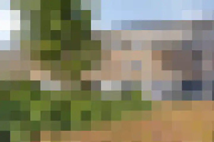 Paganinistraat 45 Capelle aan den IJssel thumbnail 5