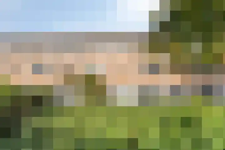 Paganinistraat 45 Capelle aan den IJssel thumbnail 6