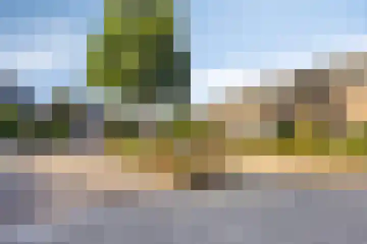Paganinistraat 45 Capelle aan den IJssel thumbnail 7