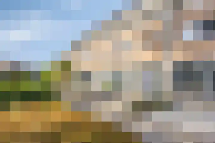 Paganinistraat 45 Capelle aan den IJssel thumbnail 8