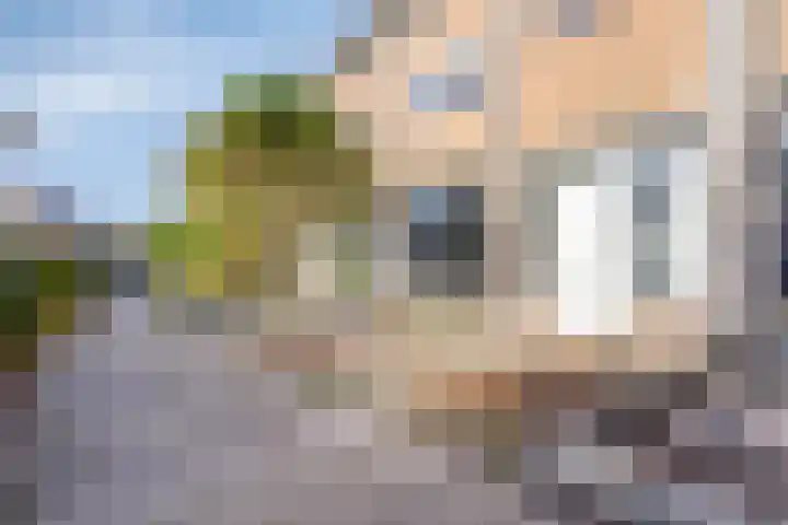 Paganinistraat 45 Capelle aan den IJssel thumbnail 9