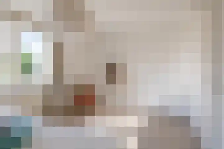 Paganinistraat 48 Capelle aan den IJssel thumbnail 21