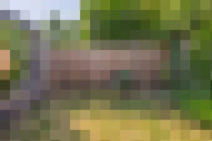 Paganinistraat 48 Capelle aan den IJssel thumbnail 35