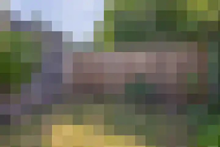 Paganinistraat 48 Capelle aan den IJssel thumbnail 36