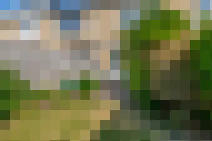 Paganinistraat 48 Capelle aan den IJssel thumbnail 38