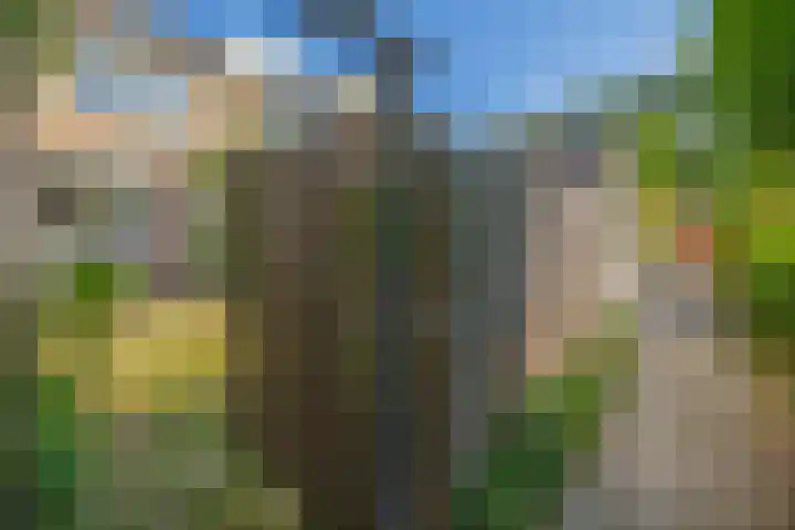 Paganinistraat 48 Capelle aan den IJssel thumbnail 39