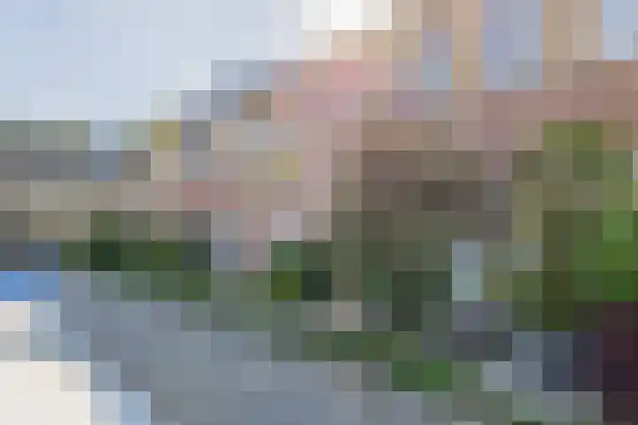 Paganinistraat 48 Capelle aan den IJssel thumbnail 45