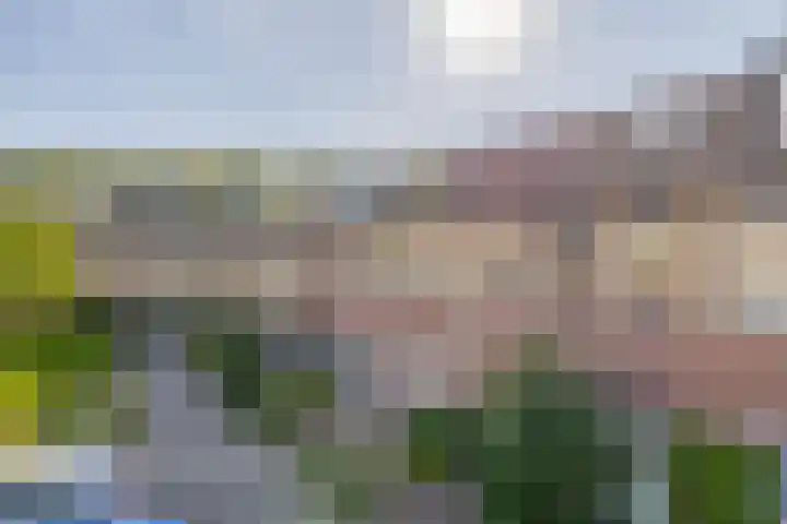 Paganinistraat 48 Capelle aan den IJssel thumbnail 46