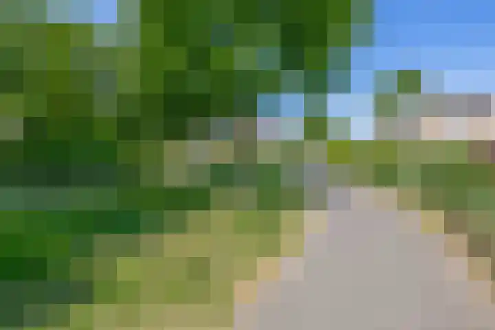 Paganinistraat 48 Capelle aan den IJssel thumbnail 48
