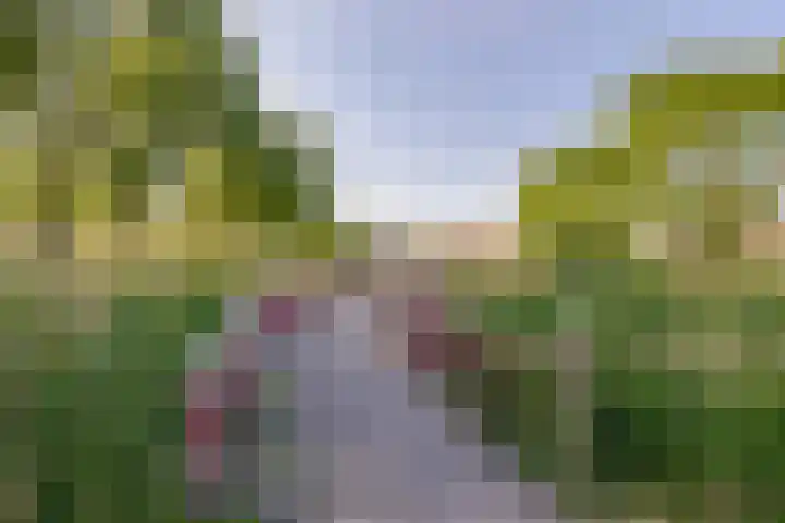 Paganinistraat 48 Capelle aan den IJssel thumbnail 49