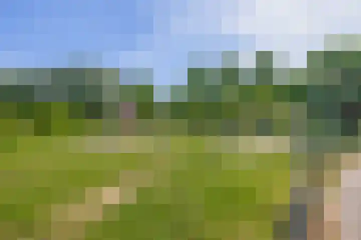 Paganinistraat 48 Capelle aan den IJssel thumbnail 51