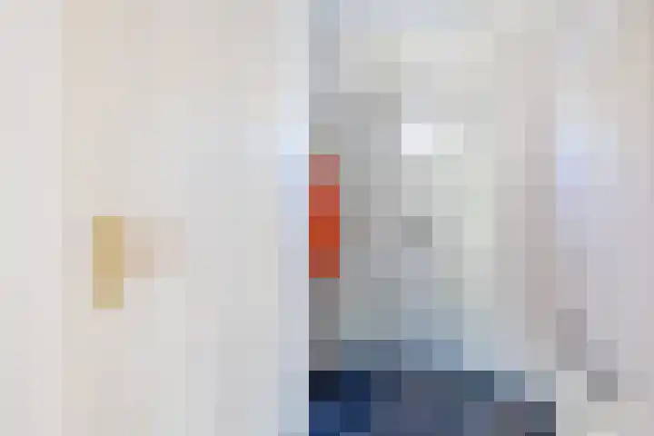 Paganinistraat 48 Capelle aan den IJssel thumbnail 7