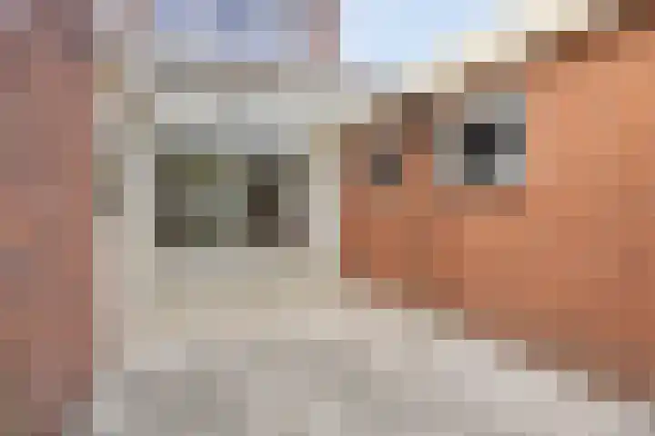 Paganinistraat 5 Hengelo thumbnail 34