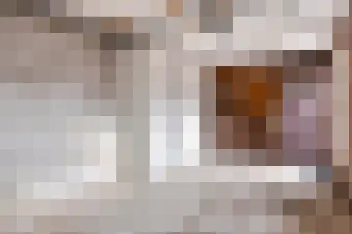 Paganinistraat 5 Hengelo thumbnail 36