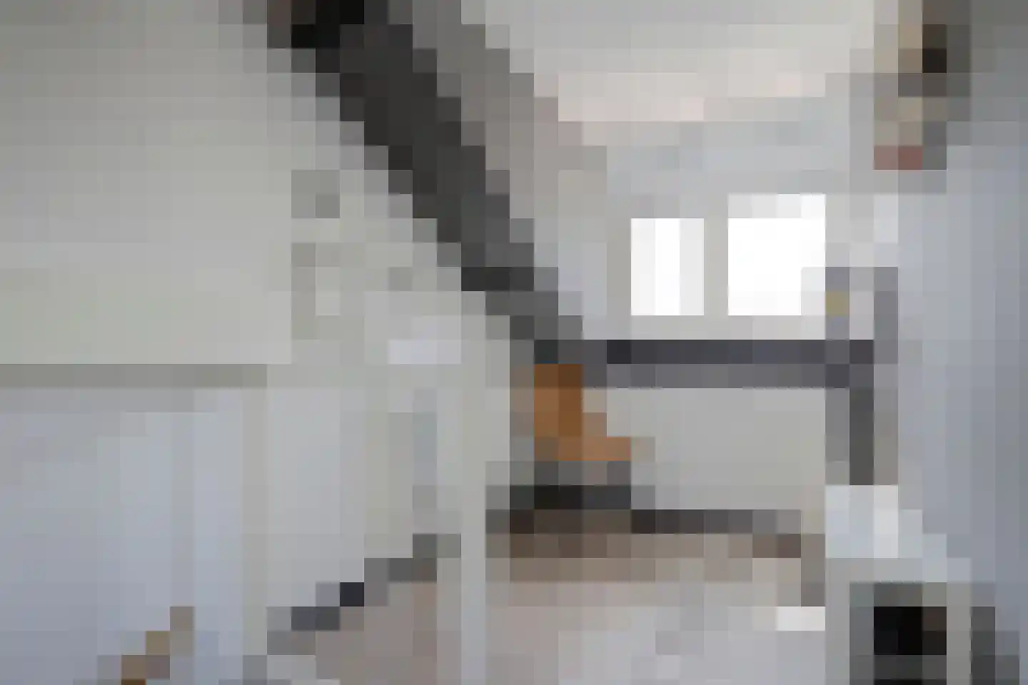 Paganinistraat 8 Zwijndrecht thumbnail 27