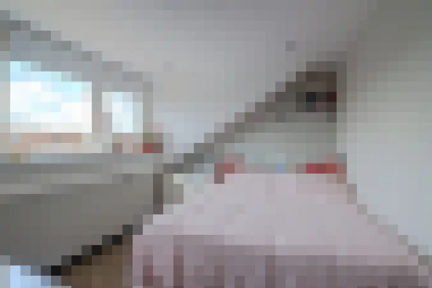 Paganinistraat 8 Zwijndrecht thumbnail 30