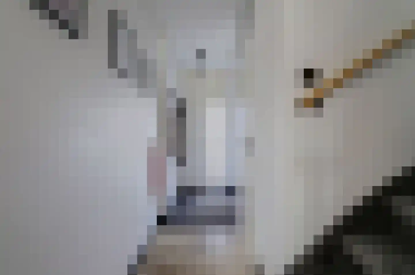 Paganinistraat 8 Zwijndrecht thumbnail 6