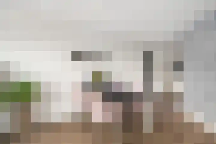 Paganinistraat 97 Capelle aan den IJssel thumbnail 11