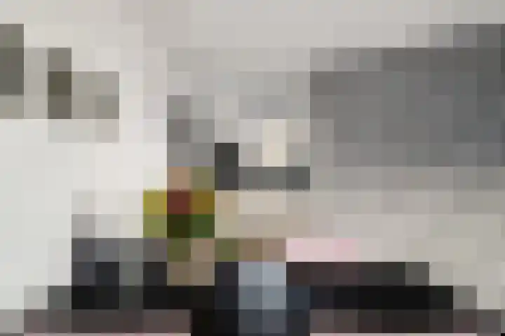 Paganinistraat 97 Capelle aan den IJssel thumbnail 12