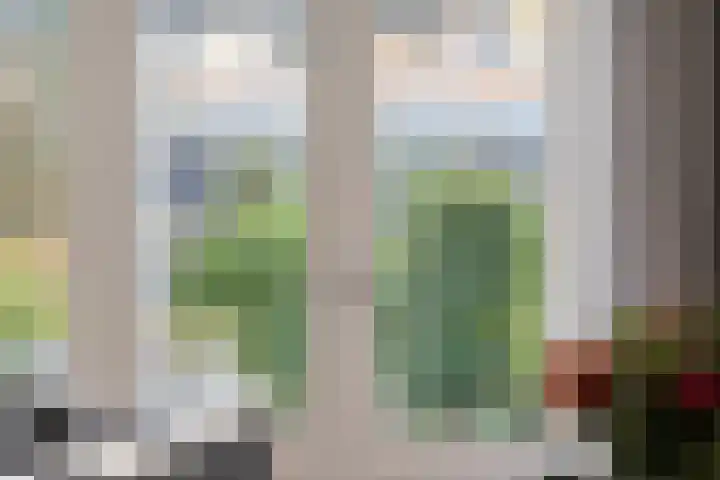 Paganinistraat 97 Capelle aan den IJssel thumbnail 15