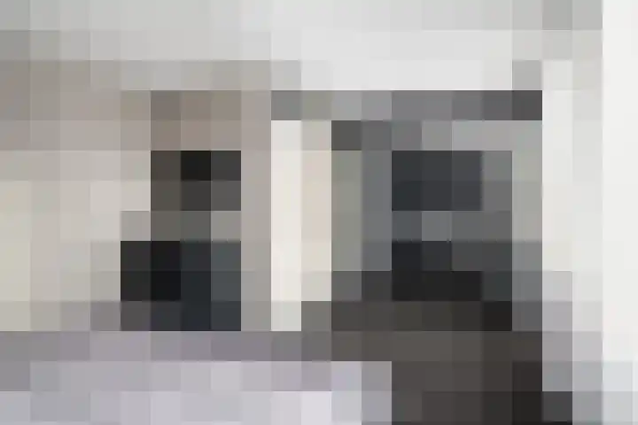 Paganinistraat 97 Capelle aan den IJssel thumbnail 19