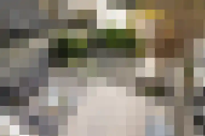 Paganinistraat 97 Capelle aan den IJssel thumbnail 37