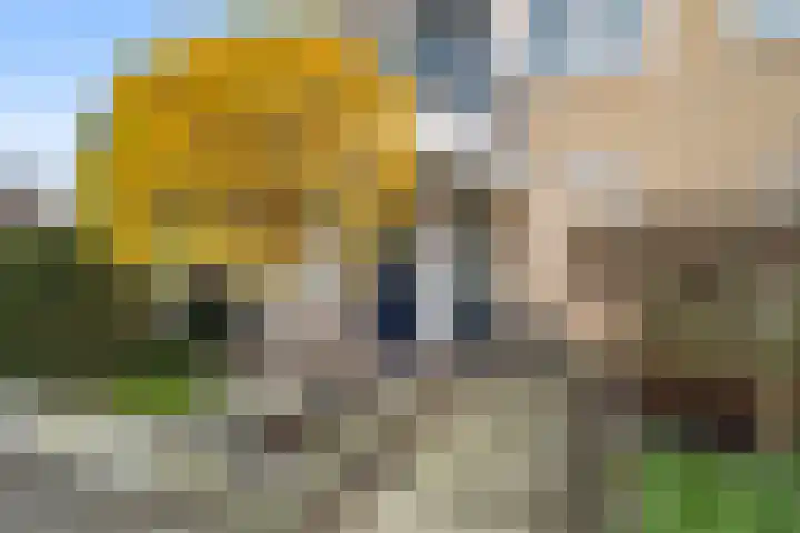 Paganinistraat 97 Capelle aan den IJssel thumbnail 4