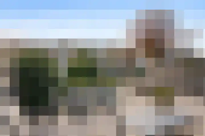 Paganinistraat 97 Capelle aan den IJssel thumbnail 40