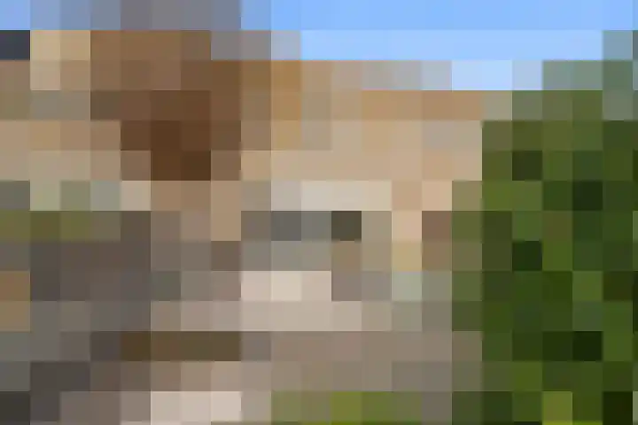 Paganinistraat 97 Capelle aan den IJssel thumbnail 42