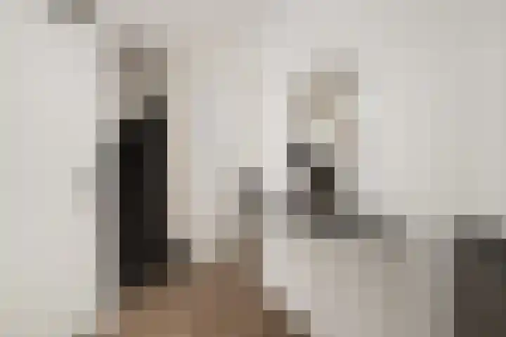Paganinistraat 97 Capelle aan den IJssel thumbnail 6