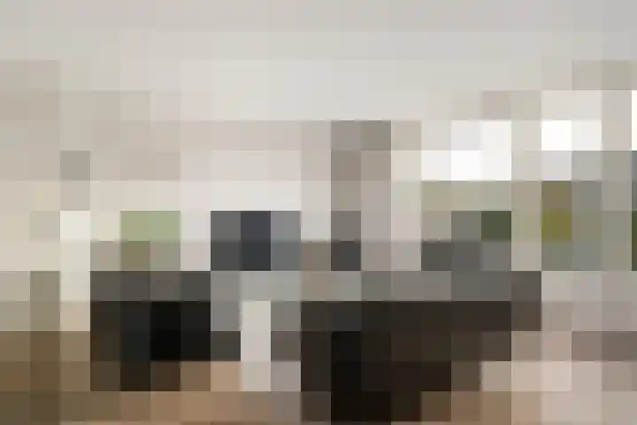 Paganinistraat 97 Capelle aan den IJssel thumbnail 7