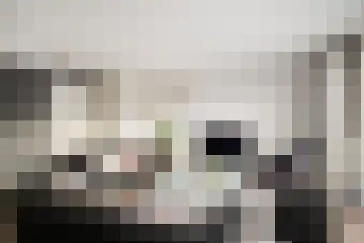 Paganinistraat 97 Capelle aan den IJssel thumbnail 8