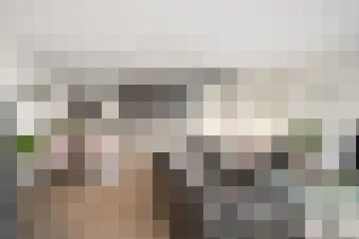 Paganinistraat 97 Capelle aan den IJssel thumbnail 9