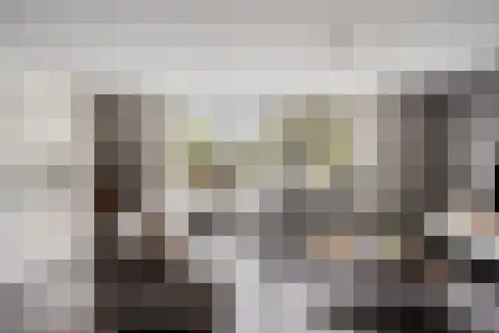 Paganinistraat 99 Capelle aan den IJssel thumbnail 10