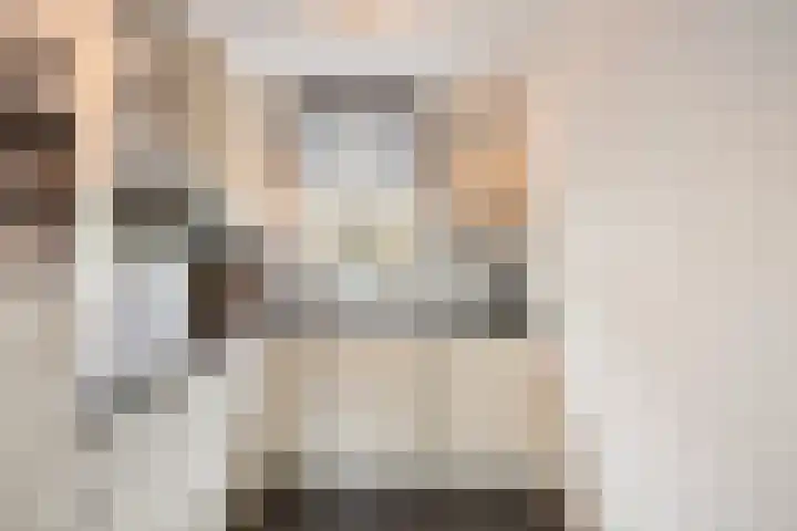 Paganinistraat 99 Capelle aan den IJssel thumbnail 14